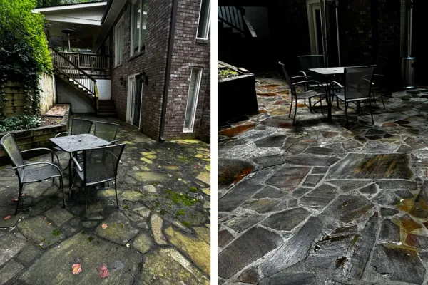 Atlanta pressure washing realities (historic soft wash, urban pollution, Gloeocapsa)