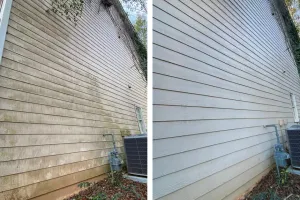 Gutter Whitening