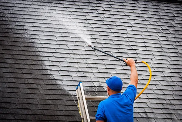 Roof cleaning that protects your biggest investment